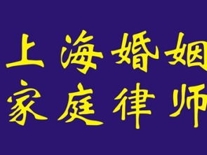 图 上海 婚姻律师咨询 房产分割 子女抚养权争取 专业律师团对 上海法律咨询